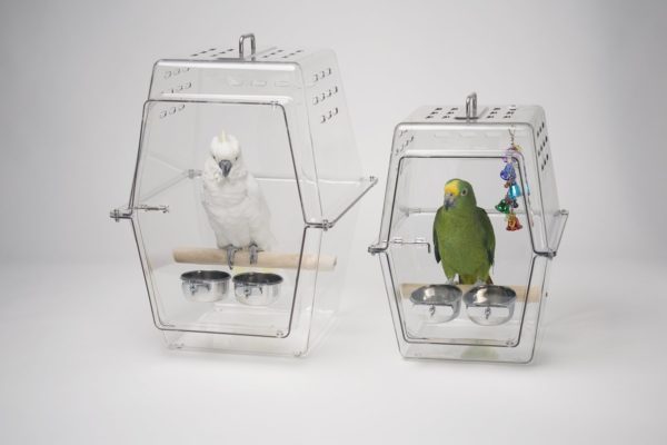 parakeet travel cage